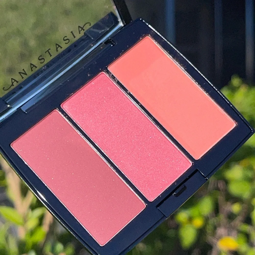 ANASTASIA BEVERLY HILLS Blush Trio In Berry Adore